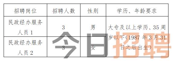 保山市统计局最新招聘启事